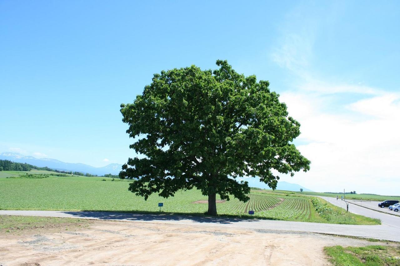 Stay In 末広 Asahikawa Nagayamacho Zewnętrze zdjęcie