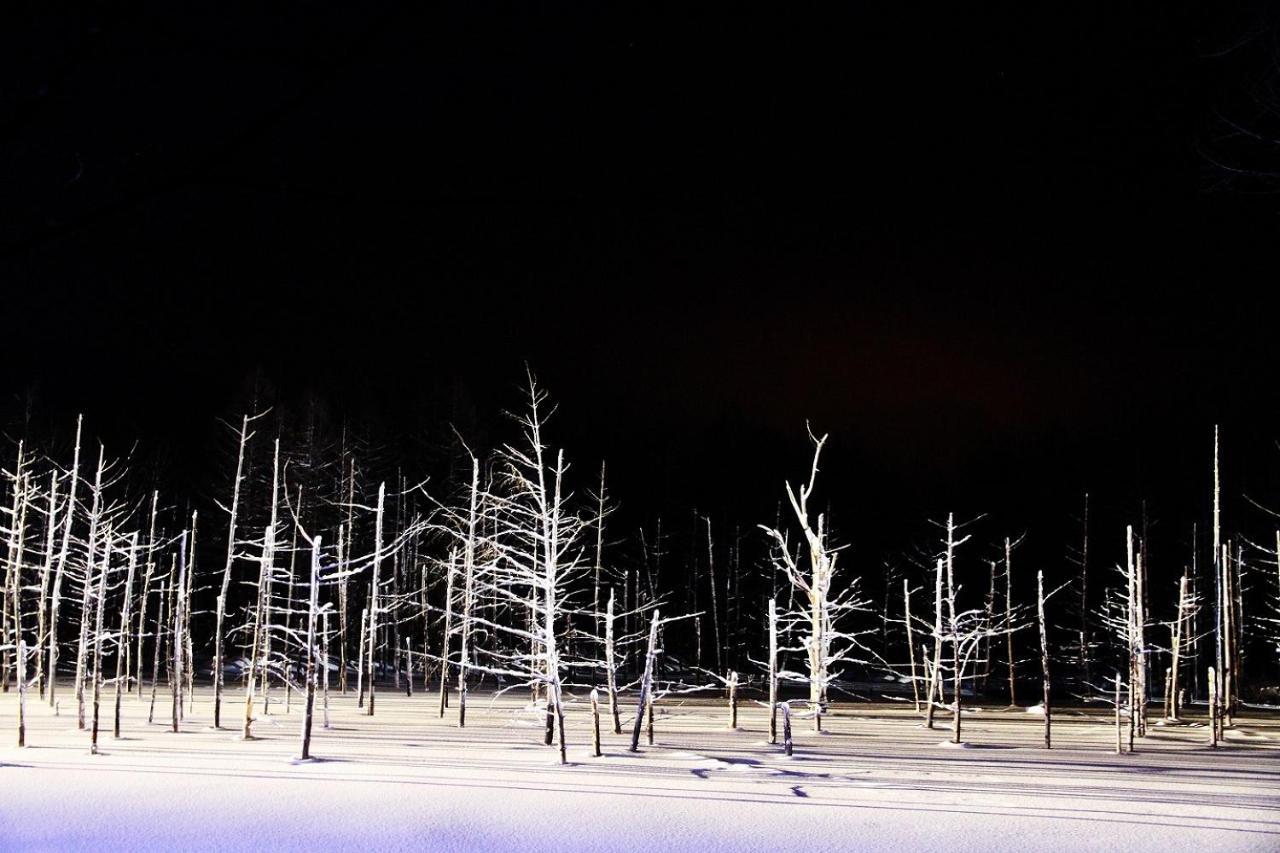 Stay In 末広 Asahikawa Nagayamacho Zewnętrze zdjęcie